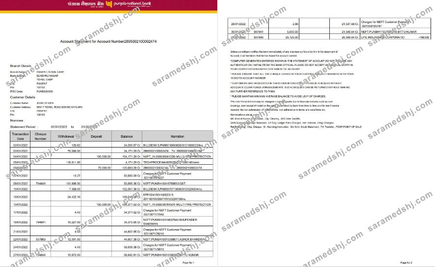 India Punjab National Bank statement Word and PDF template, 2 pages, version 2